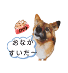 I’m なつき②（個別スタンプ：12）