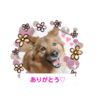 I’m なつき②（個別スタンプ：14）