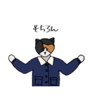 ゆるいキャットたち（個別スタンプ：11）