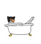 ゆるいキャットたち（個別スタンプ：34）