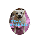 るっぴー2（個別スタンプ：4）