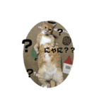 るっぴー2（個別スタンプ：5）