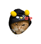 るっぴー2（個別スタンプ：9）