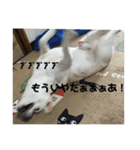るっぴー2（個別スタンプ：11）