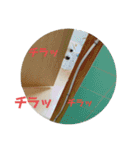 るっぴー2（個別スタンプ：15）