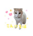 いくとろ日和（個別スタンプ：1）