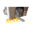 いくとろ日和（個別スタンプ：5）