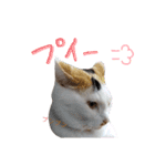 いくとろ日和（個別スタンプ：6）