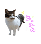 いくとろ日和（個別スタンプ：8）