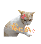 いくとろ日和（個別スタンプ：19）