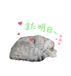 いくとろ日和（個別スタンプ：23）