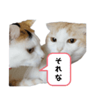 いくとろ日和（個別スタンプ：24）