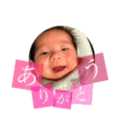 わっくんスタンプ★紙吹雪（個別スタンプ：4）