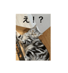 てーるスタンプ2！（個別スタンプ：18）