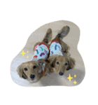 イトファルstamp（個別スタンプ：1）