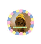 イトファルstamp（個別スタンプ：4）