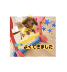 イトファルstamp（個別スタンプ：5）