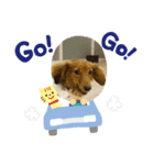 イトファルstamp（個別スタンプ：7）