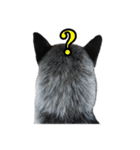 ザ・保護犬 まだらのふぅちゃんスタンプ2（個別スタンプ：22）