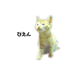 茶トラ猫チビタン（個別スタンプ：39）