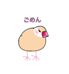 手乗り文鳥さん（個別スタンプ：8）