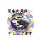 可愛い手作り石けん（個別スタンプ：34）