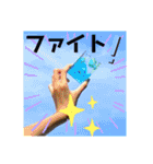 可愛い手作り石けん（個別スタンプ：36）