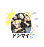 可愛い手作り石けん（個別スタンプ：37）