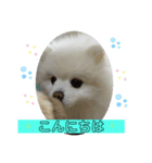 まろぷんスタンプ（個別スタンプ：2）