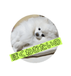まろぷんスタンプ（個別スタンプ：5）