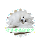 まろぷんスタンプ（個別スタンプ：7）