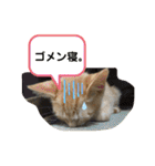 Johnny ＆ Chocola 1（個別スタンプ：8）