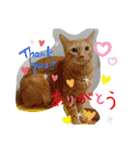 Johnny ＆ Chocola 1（個別スタンプ：13）