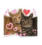 Johnny ＆ Chocola 1（個別スタンプ：22）