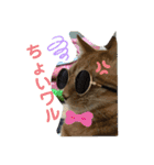 Johnny ＆ Chocola 1（個別スタンプ：26）
