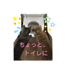 Johnny ＆ Chocola 1（個別スタンプ：27）