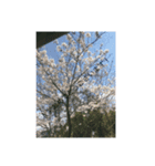 まったり写真旅（個別スタンプ：6）