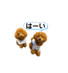 ROYくん Lanaちゃん（個別スタンプ：1）