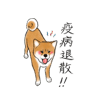 あざとかわいい柴犬こたろう対コロナ2021（個別スタンプ：3）