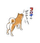 あざとかわいい柴犬こたろう対コロナ2021（個別スタンプ：9）