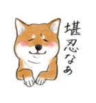 あざとかわいい柴犬こたろう対コロナ2021（個別スタンプ：12）