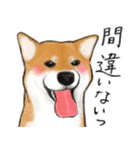 あざとかわいい柴犬こたろう対コロナ2021（個別スタンプ：19）