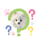 あんじゅスタンプ①（個別スタンプ：7）