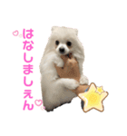 あんじゅスタンプ①（個別スタンプ：14）