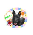 ハル＊1229（個別スタンプ：2）