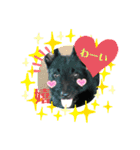 ハル＊1229（個別スタンプ：9）