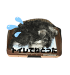 チャック・バスのスタンプ（個別スタンプ：8）