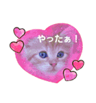 ラガマフィンのちゃあちゃん2（個別スタンプ：2）