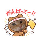 ラガマフィンのちゃあちゃん2（個別スタンプ：19）