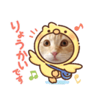ラガマフィンのちゃあちゃん2（個別スタンプ：22）